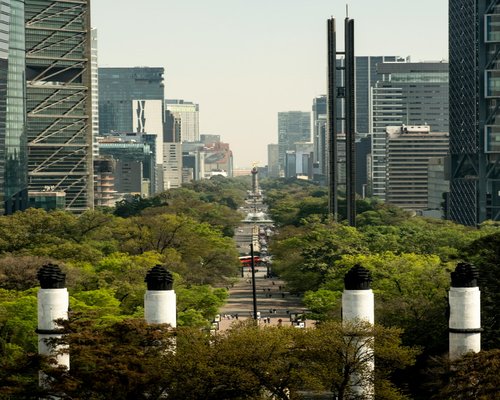 Person walking comfortably in a green urban park like Chapultepec